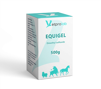 EQUIGEL