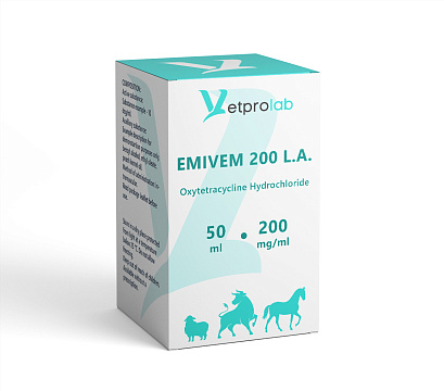EMIVEM 200 L.A.